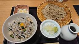 2024-02-24 11.50.27.JPG